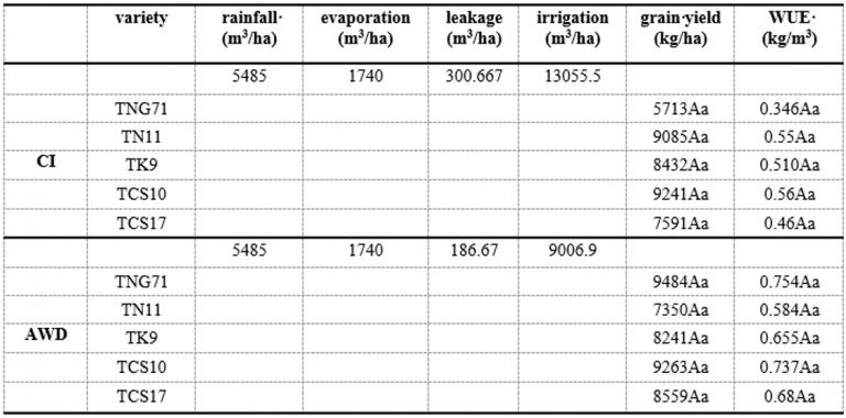 水稻節水栽培及南瓜砧木耐低溫指標之建立-4